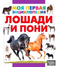 Лошади и пони