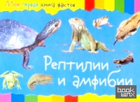 Моя первая книга фактов: Рептилии и амфибии