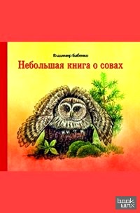 Небольшая книга о совах