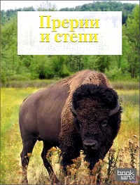 Прерии и степи: Животный мир