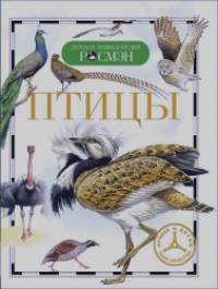 Птицы