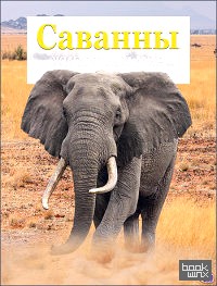 Саванны: Животный мир