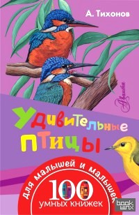 Удивительные птицы