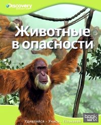 Животные в опасности