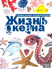 Жизнь океана