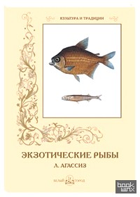 Экзотические рыбы