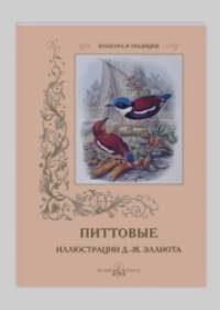 Питтовые